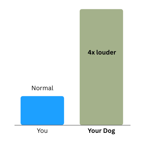 Chart stating how dogs vs humans hear sounds